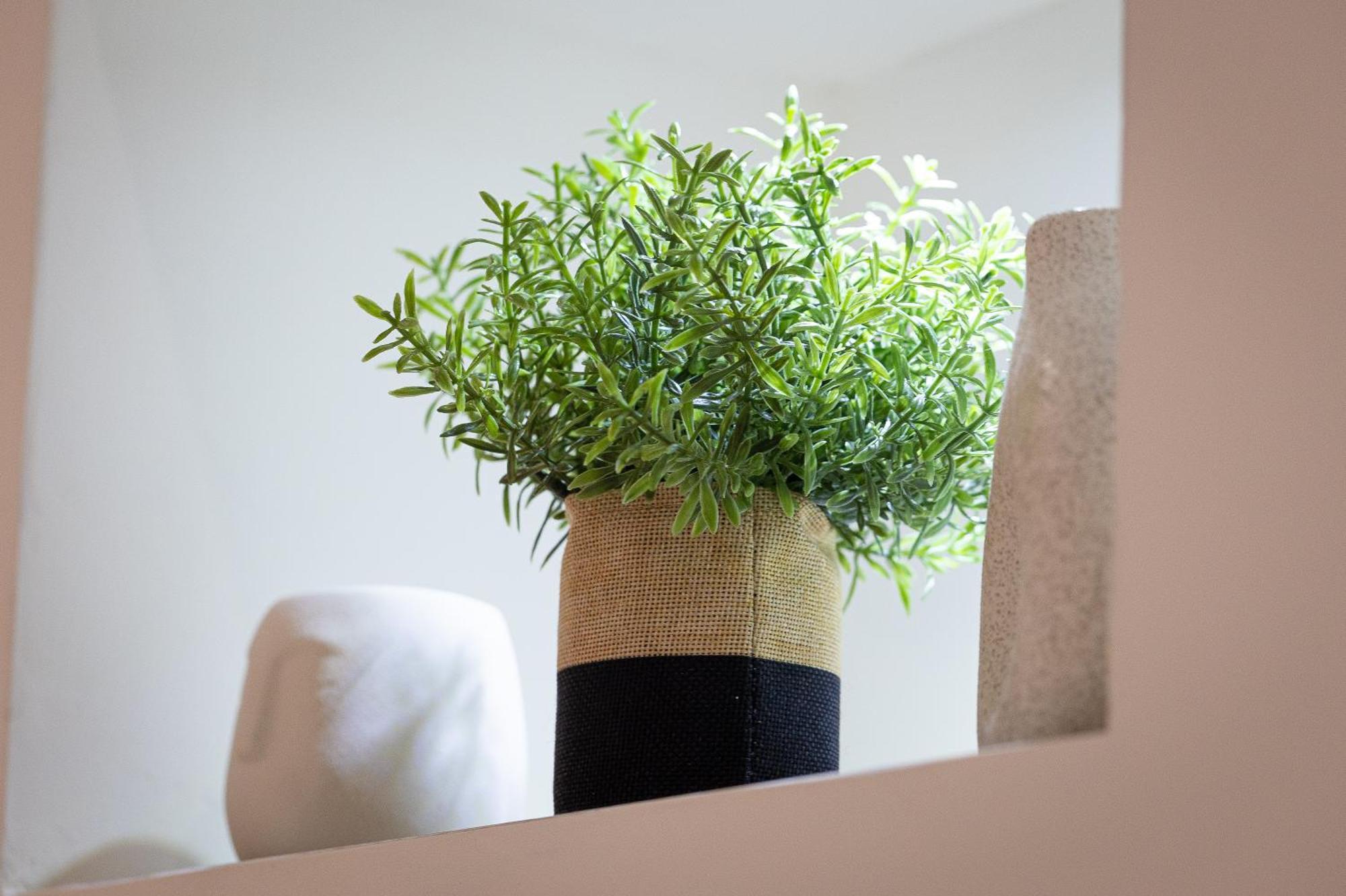 Apartment Navona Modern By In Rom